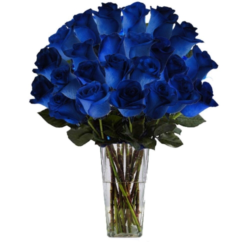 Just Perfect - 24 Stems In Vase